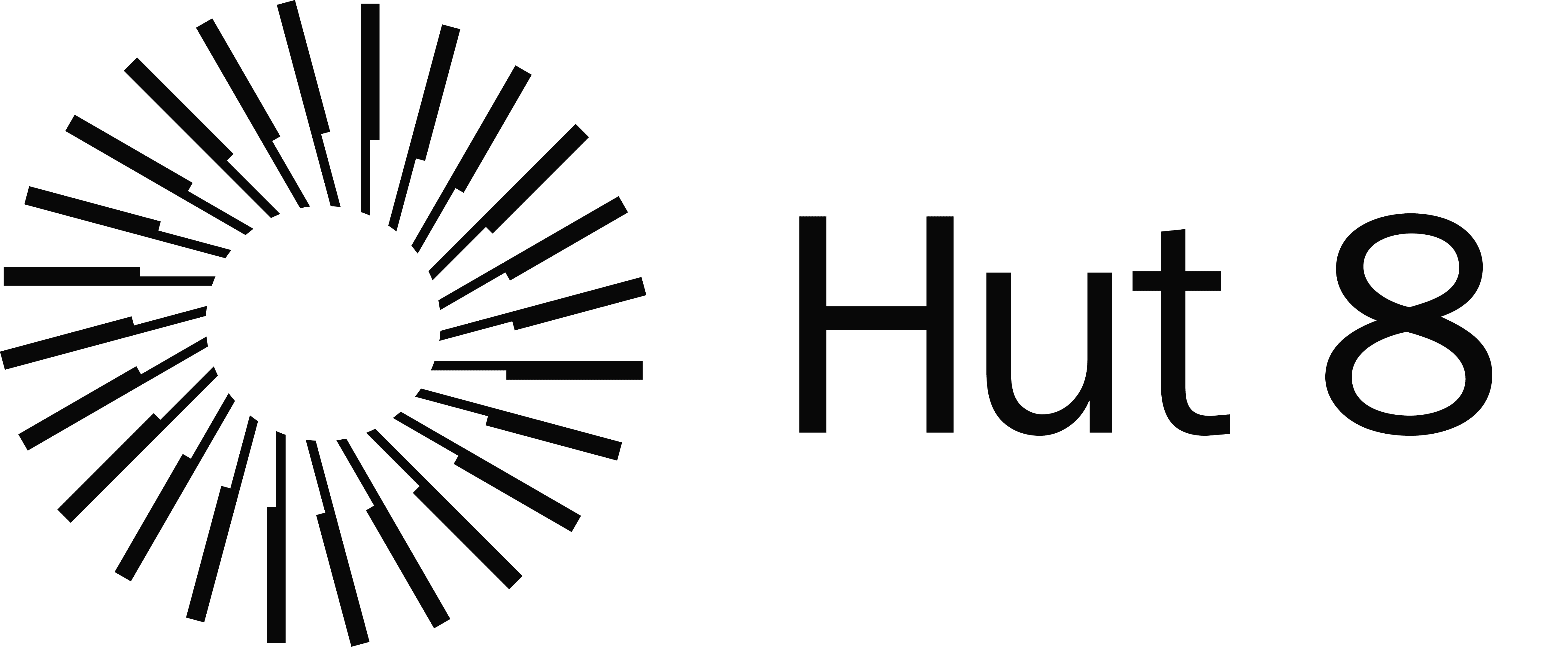 Hut8
