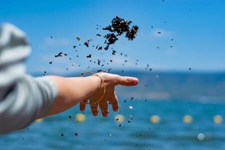 Gifts of cash or stock: Is it a toss-up?