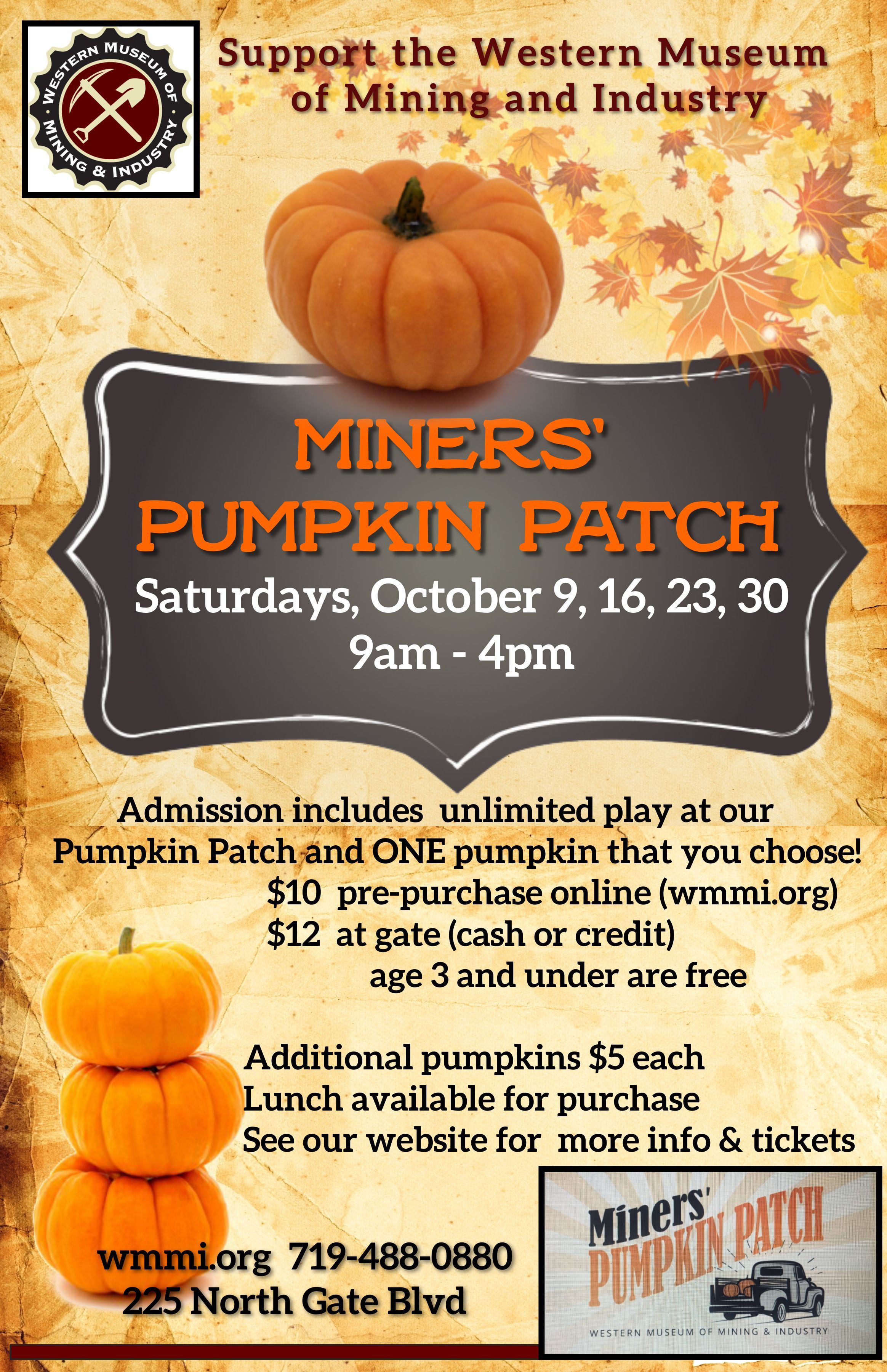 Miners' Pumpkin Patch