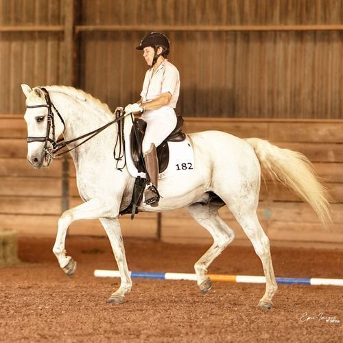 Dawn Metzger and Corrado M (TX)