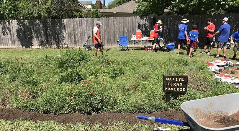 Prairie Plot