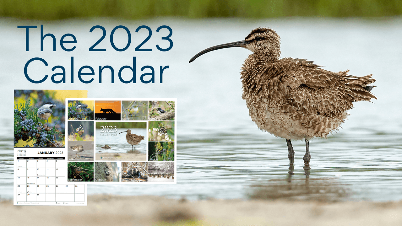 The 2023 Calendar