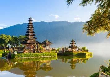 #302 Choose Your Own Adventure