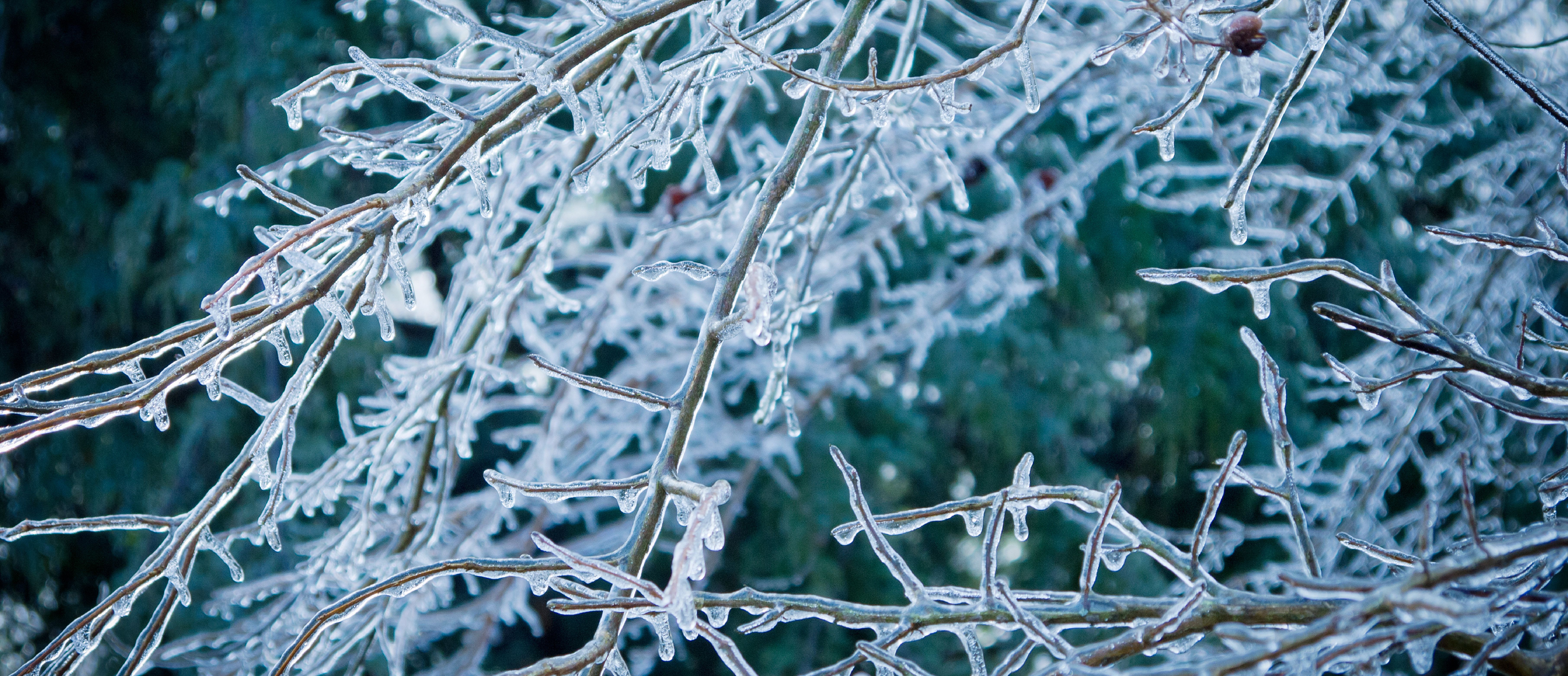 Weather Closings for Wednesday, January 28