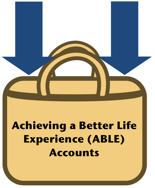 Able Accounts Go Bag