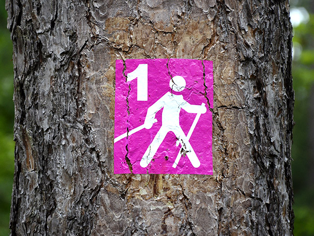 Nordic Walking with Leroy Hurt at Aldridge Gardens