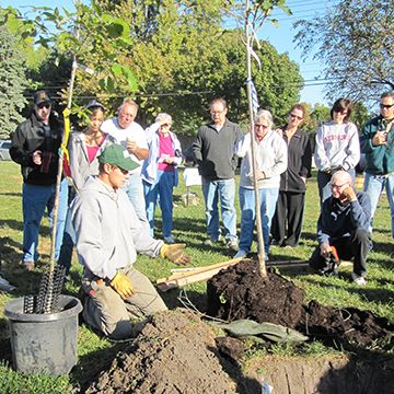 Irvingdale Neighborhood Tree Planting