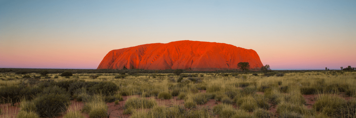 expansive field of desert grasses in American Southwest with a rising red rock plateau in the background at sunset