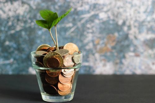 Image of a coin bank and plant