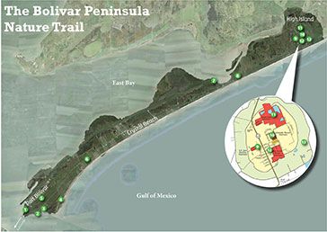 Bolivar Peninsula Nature Trail map