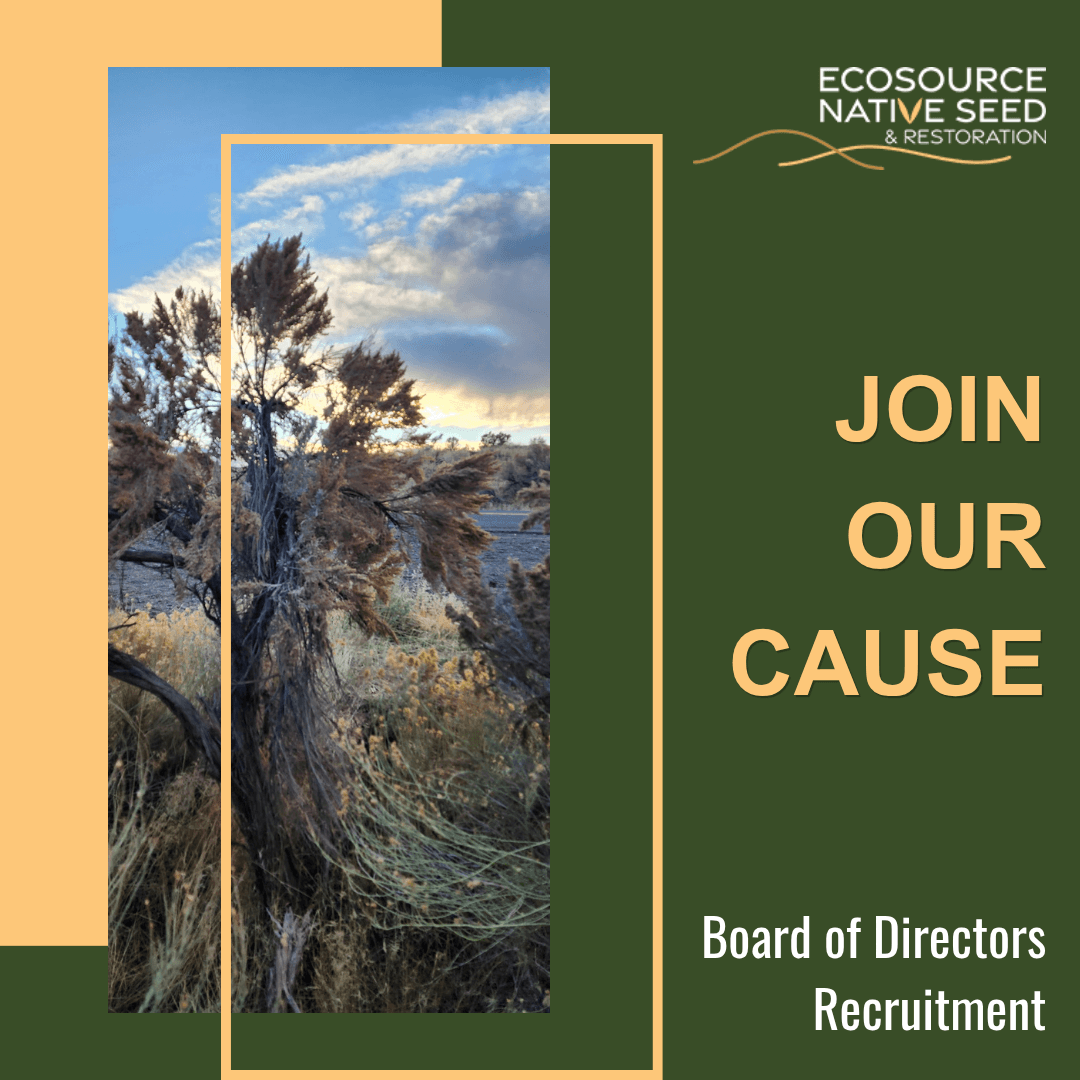 Board of Directors (2 Seats)