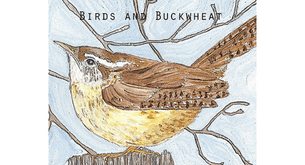 Birds and Buckwheat