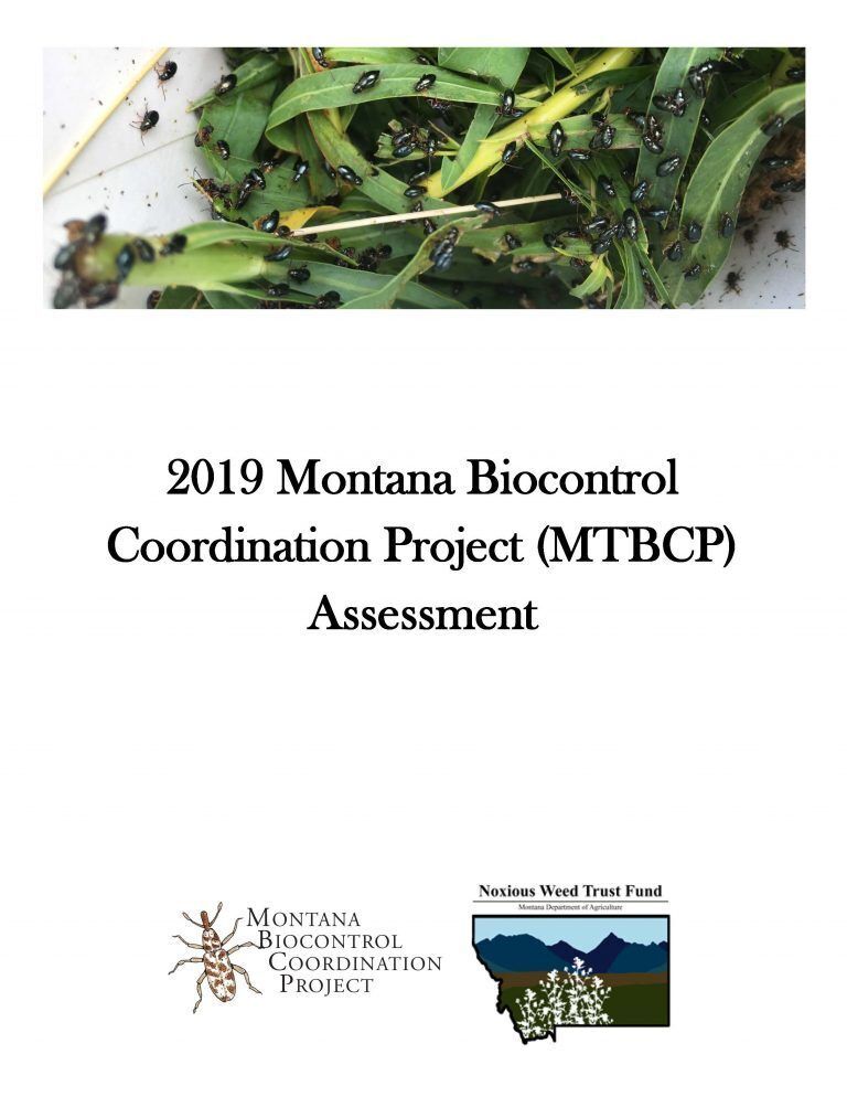 2019 MTBCP Assessment