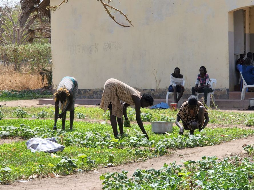 Ag School Garden 2