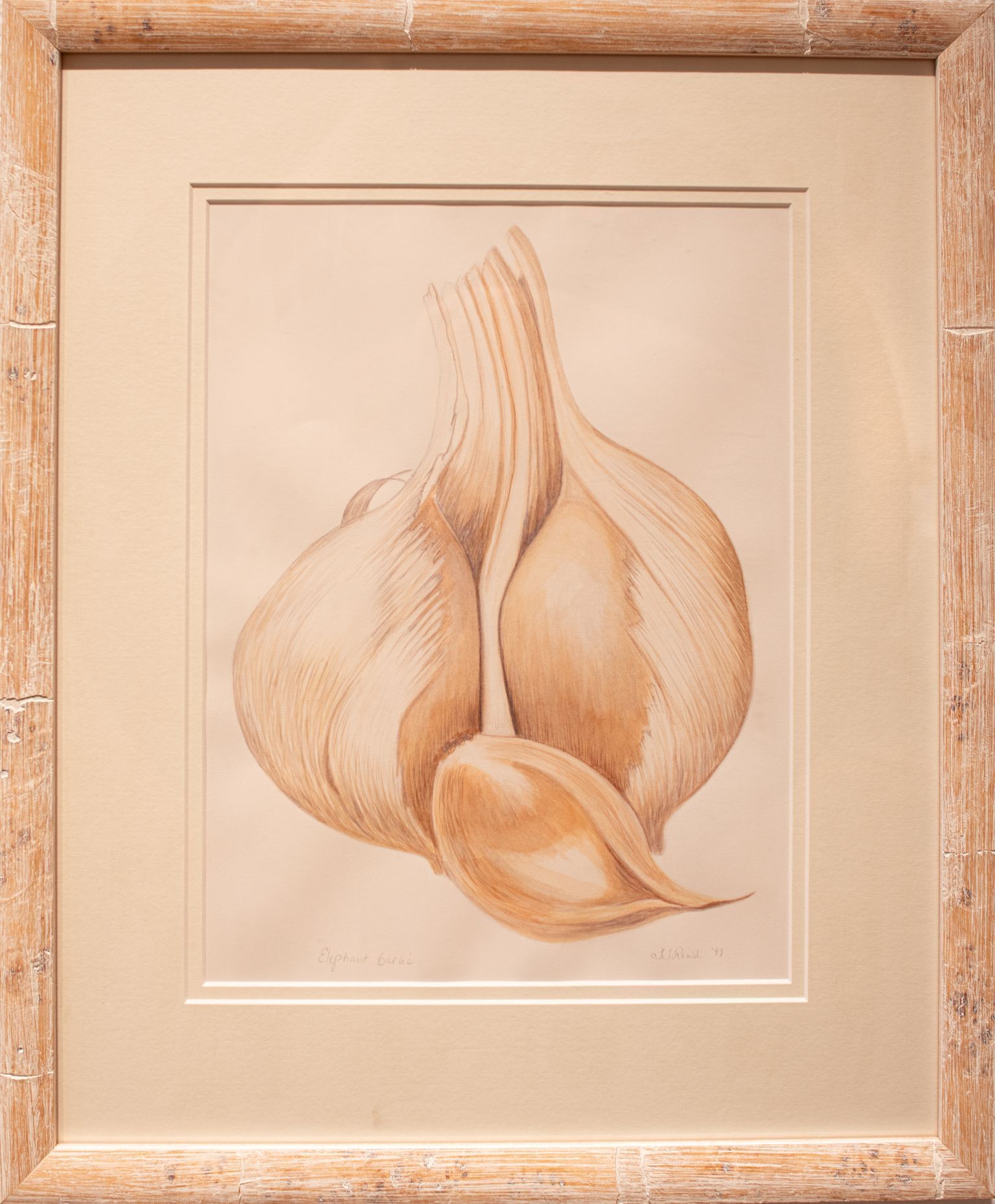 "Elephant Garlic" - Judy Roush