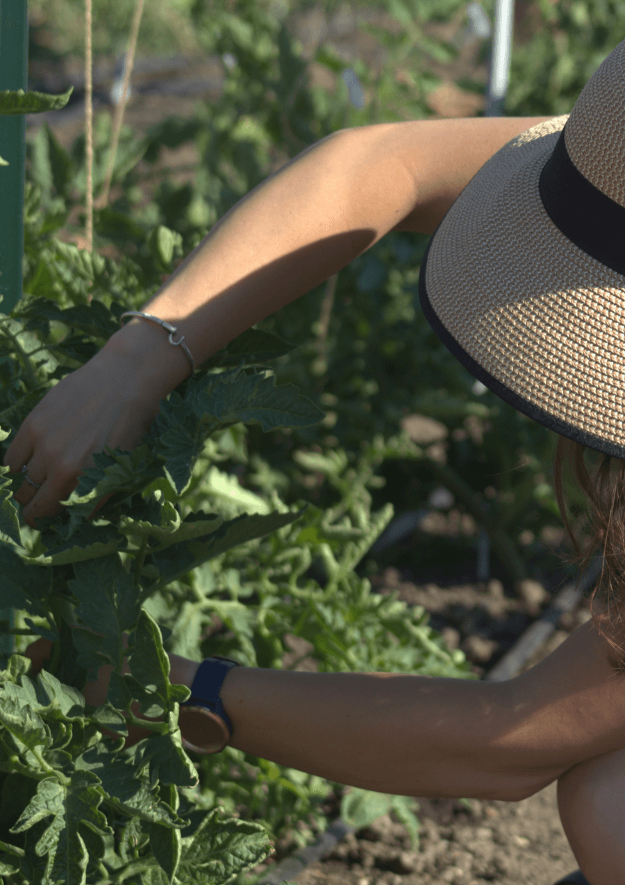 Horticulture & Agriculture