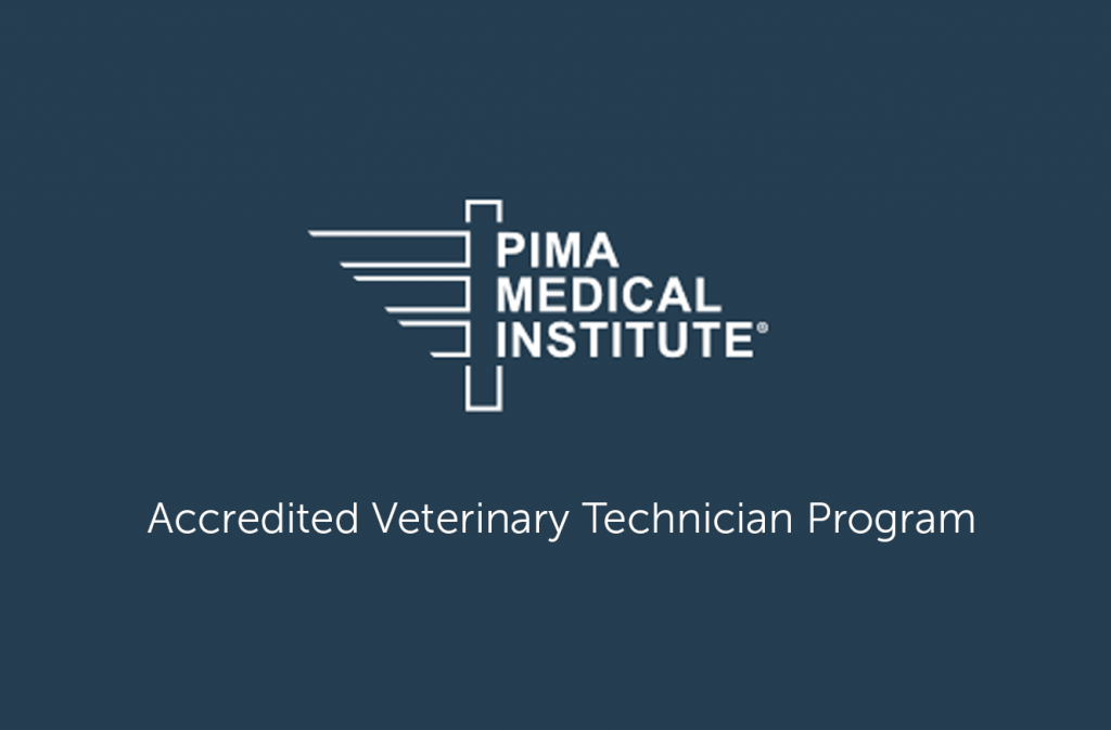 The Only Vet Tech Program in Montana