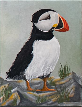 “Shaggy Puffin” - Isadora Oliver
