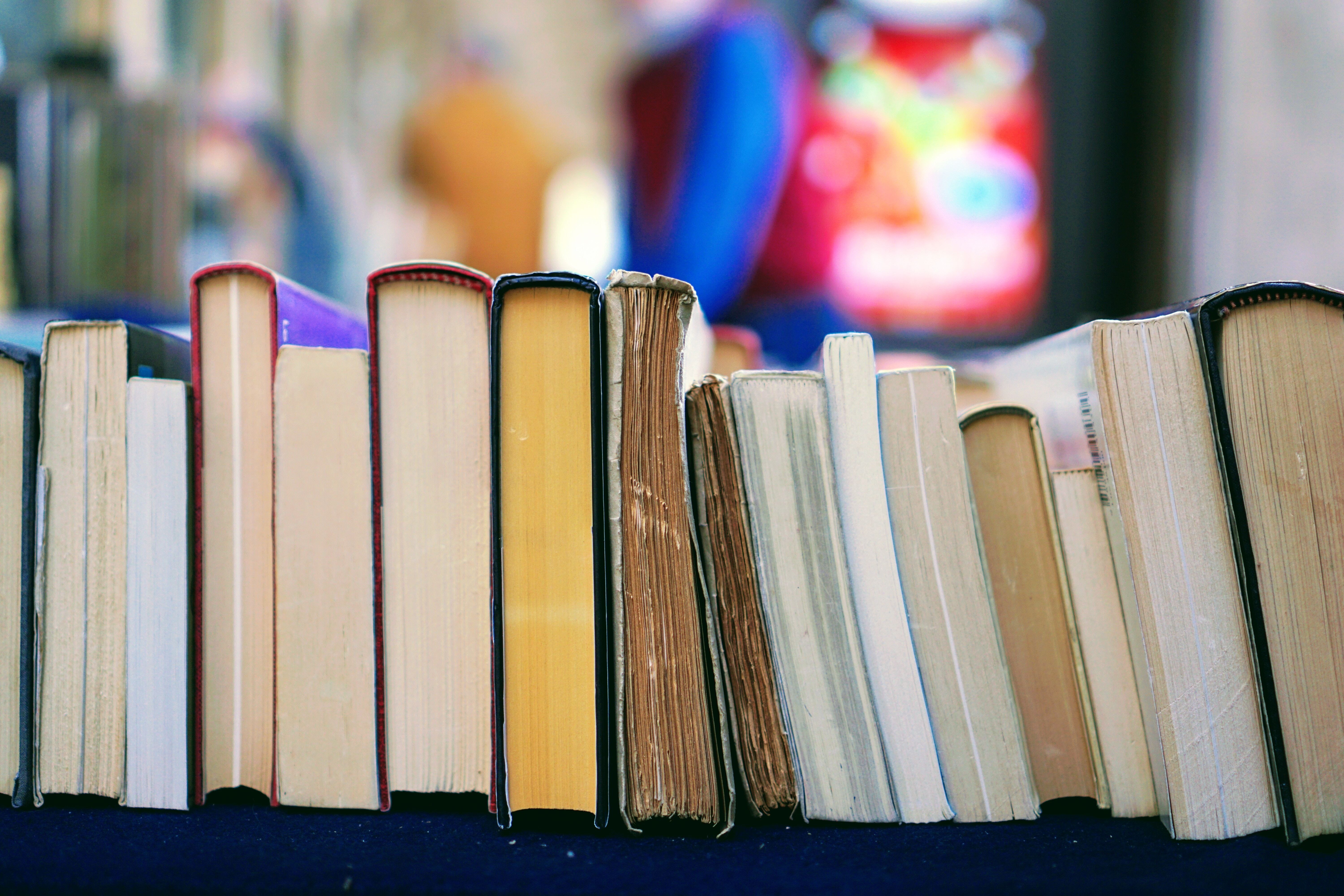 Local book club launches Read to Build campaign