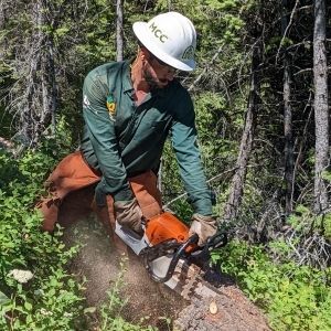 Fuel Breaks & Fire Line with Spotted Bear Ranger District