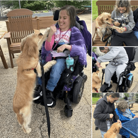 A Furry Friend Visits
