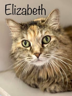 ELIZABETH