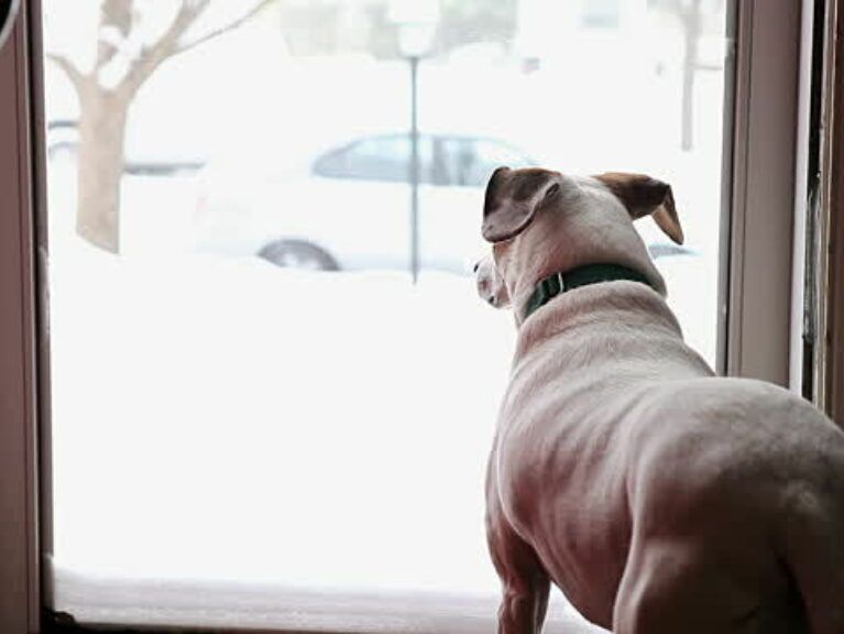 Bust Boredom Indoors