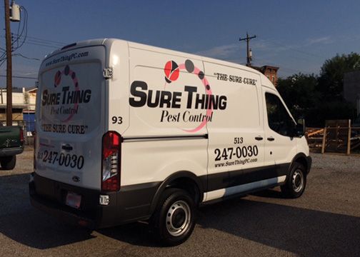 Sure Thing Pest Control Vehicle Graphics 2