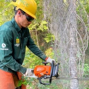 Fuels Reduction/Tree Thinning