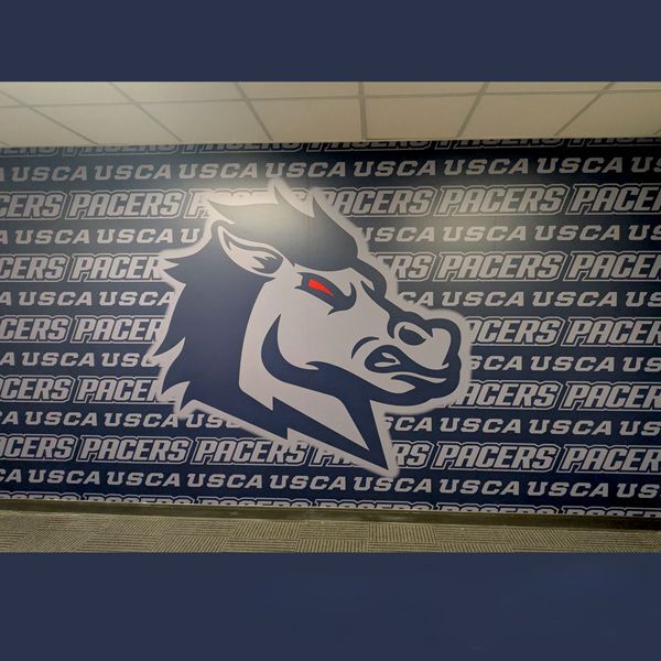 University of South Carolina Pacers Athletics Wall Mural