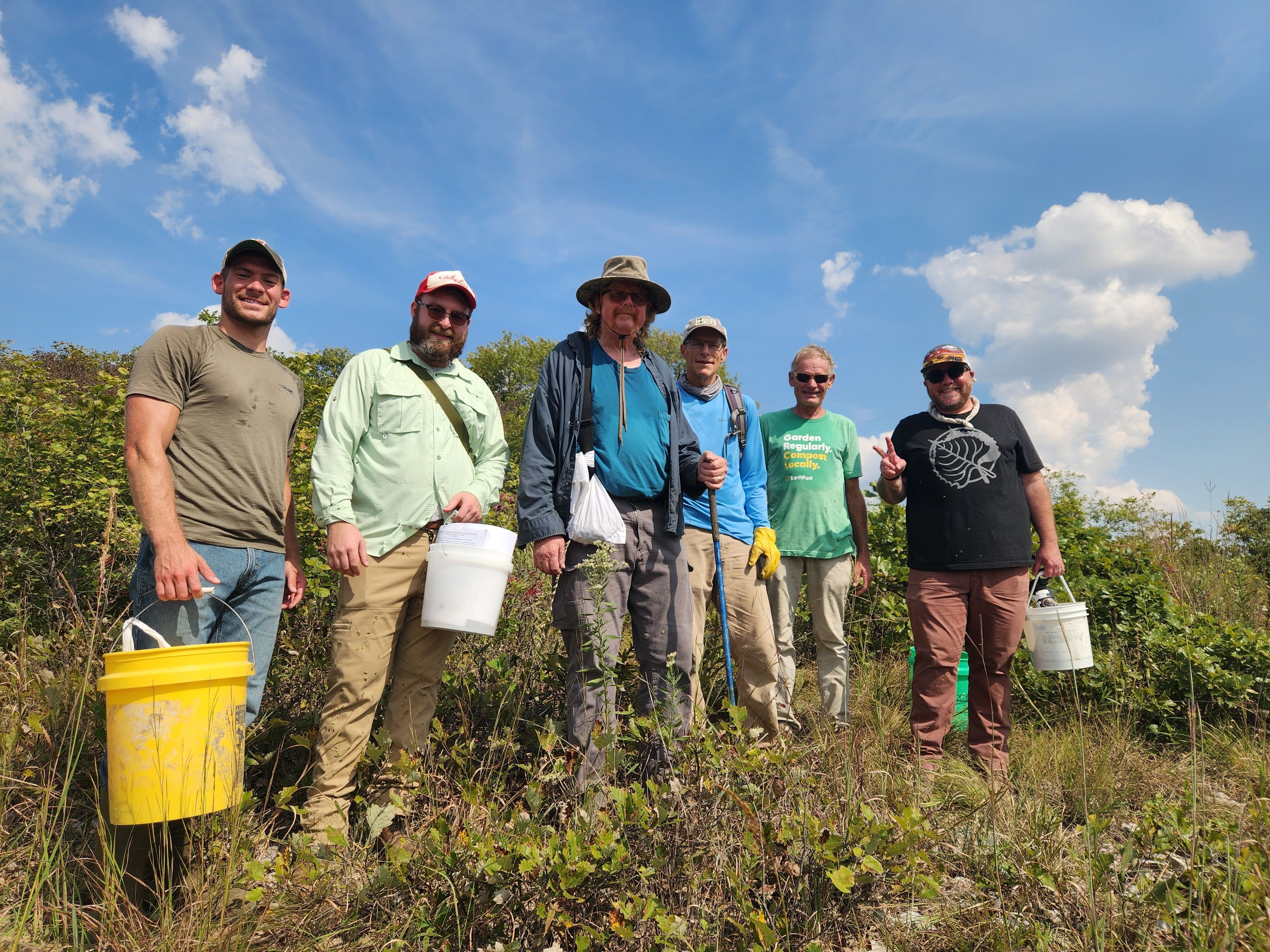 A group of men with buckets on a seed-collecting mission in a dwarf chinkapin oak grove.