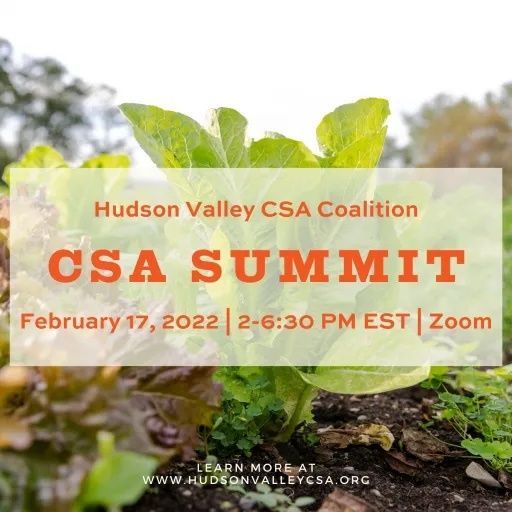 Announcing the 2022 CSA Coalition Summit