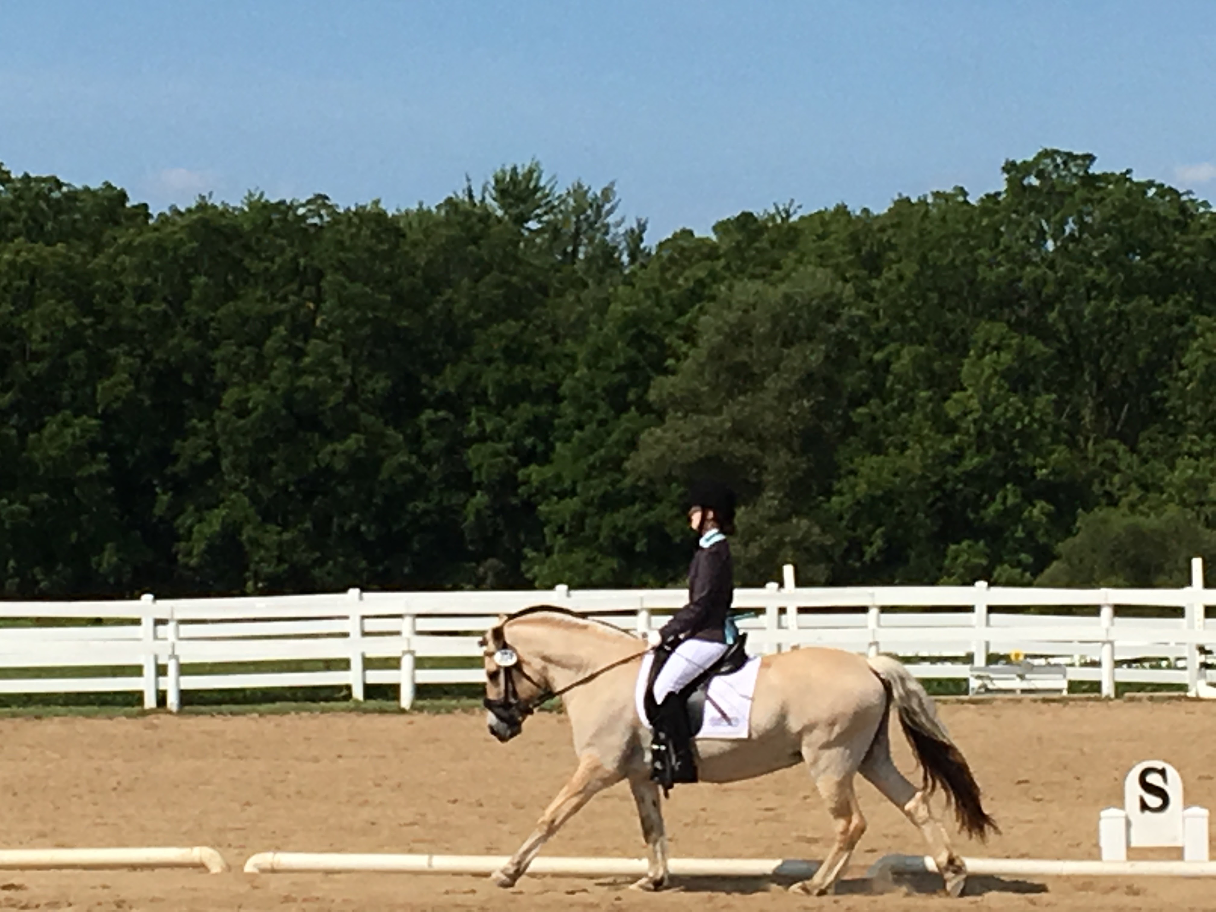 TDF Awards Carolyn Van Cise Fund Grant to Ella Kunitzer
