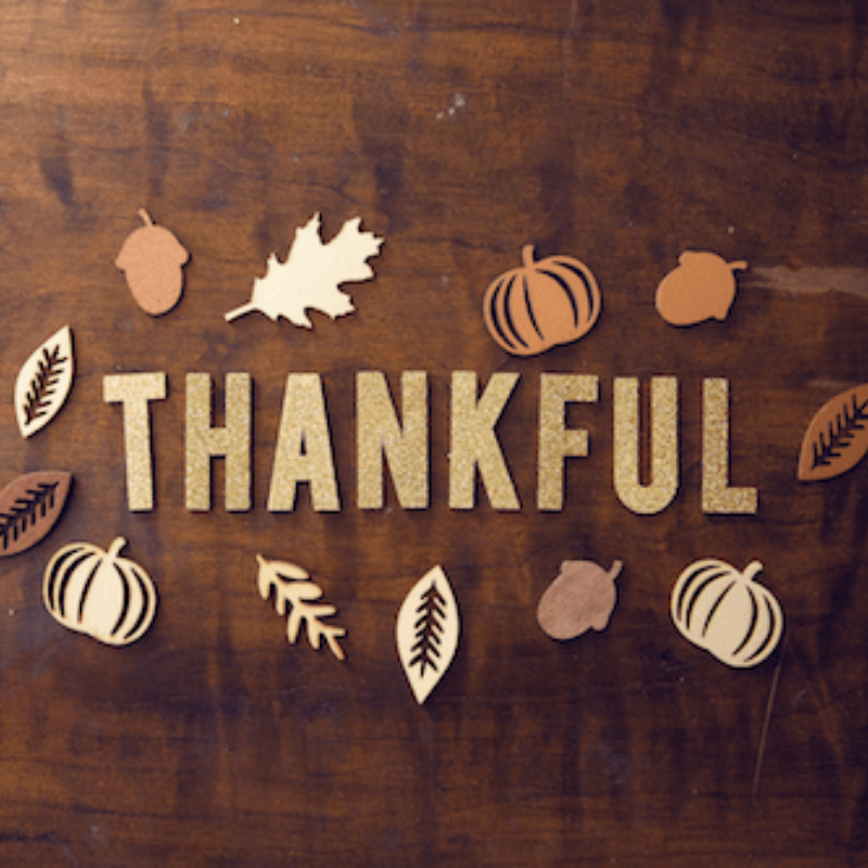 7 Things to Feel Thankful for This Thanksgiving