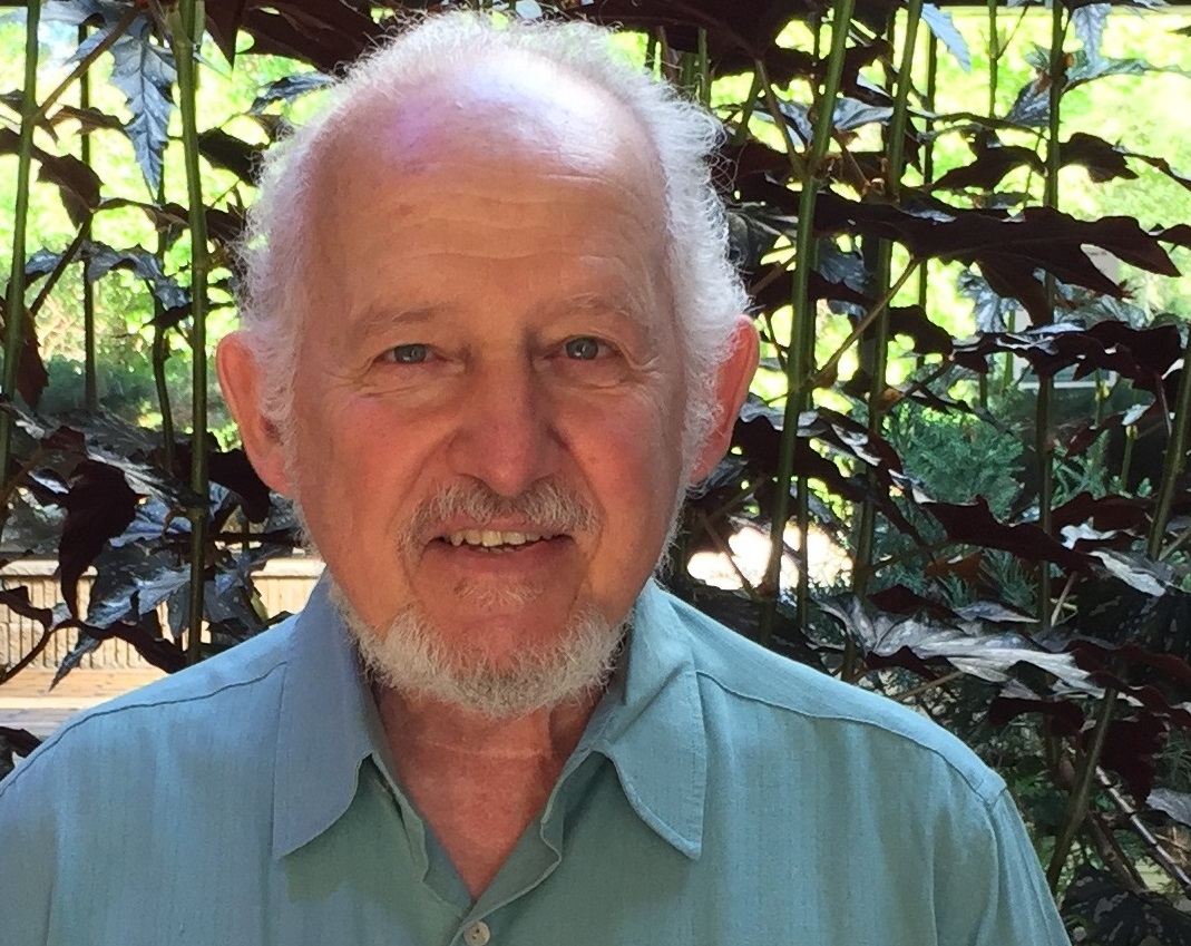 David Del Campo