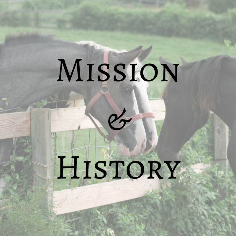 Mission & History