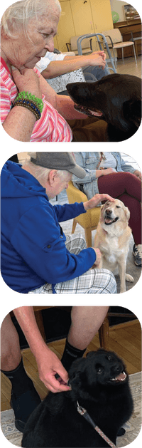 FriendshipWorks PetPals Program's Furry Volunteers