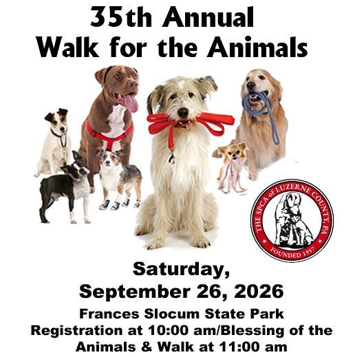 35th Annual Walk for the Animals!