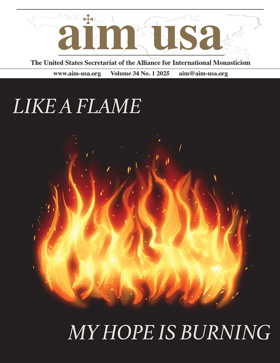 Read "Like a Flame" recent AIM newsletter