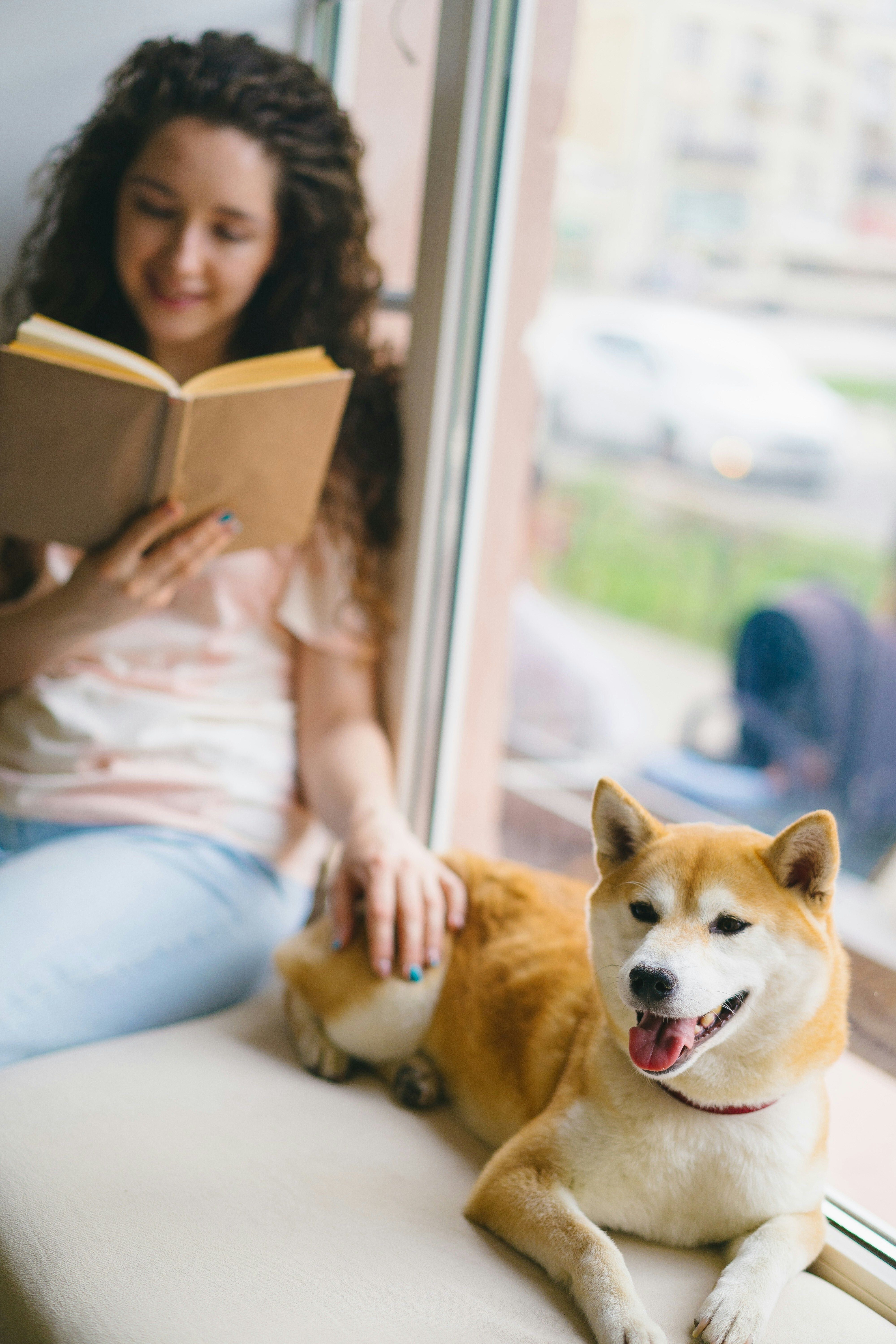 Domestic abuse survivors can now get Protection Orders for their pets
