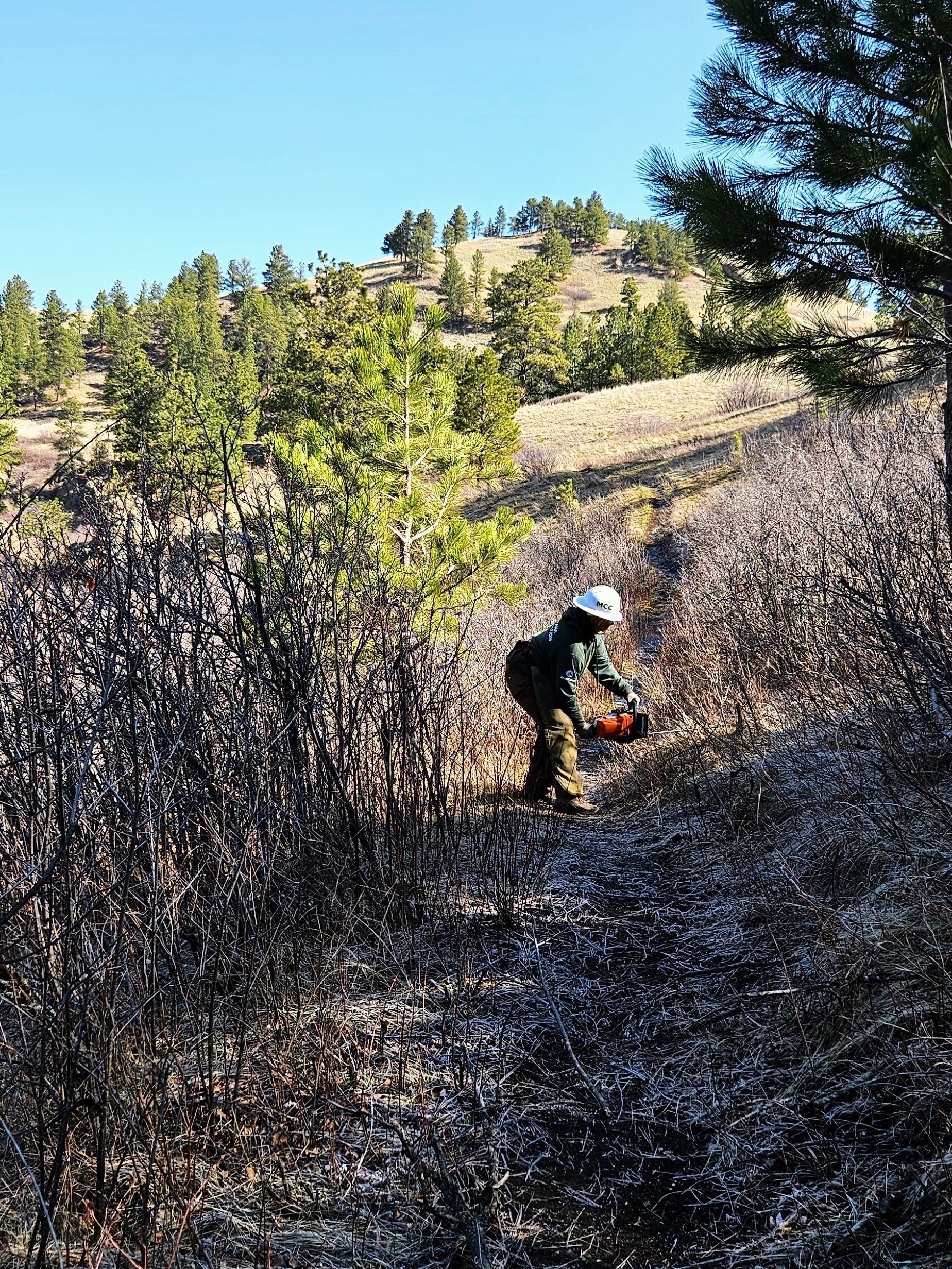 A crew member works to clear a section of trail