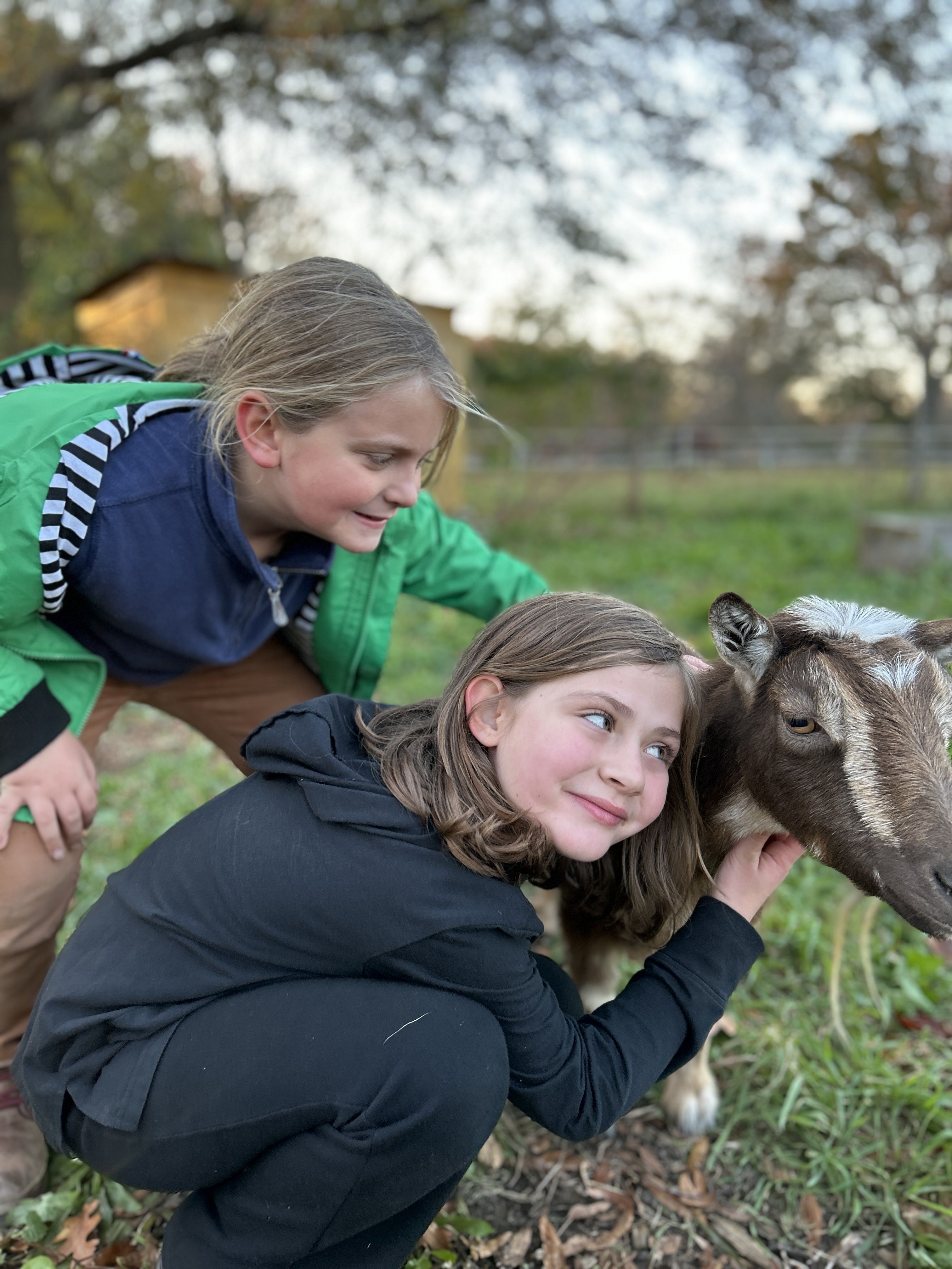 Farm and Nature After School