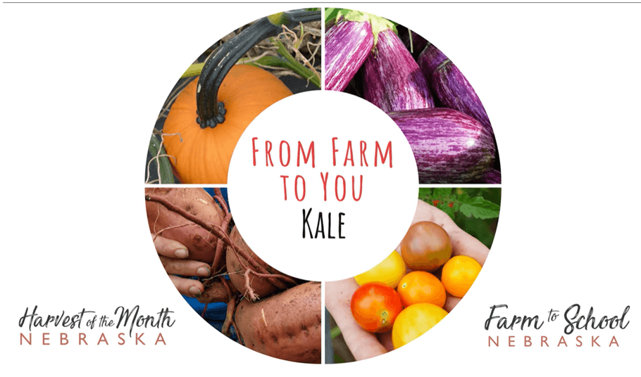 Farm to You - Kale, Lake St. Micro Farms