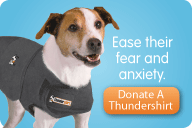Thundershirts – for our shy dogs