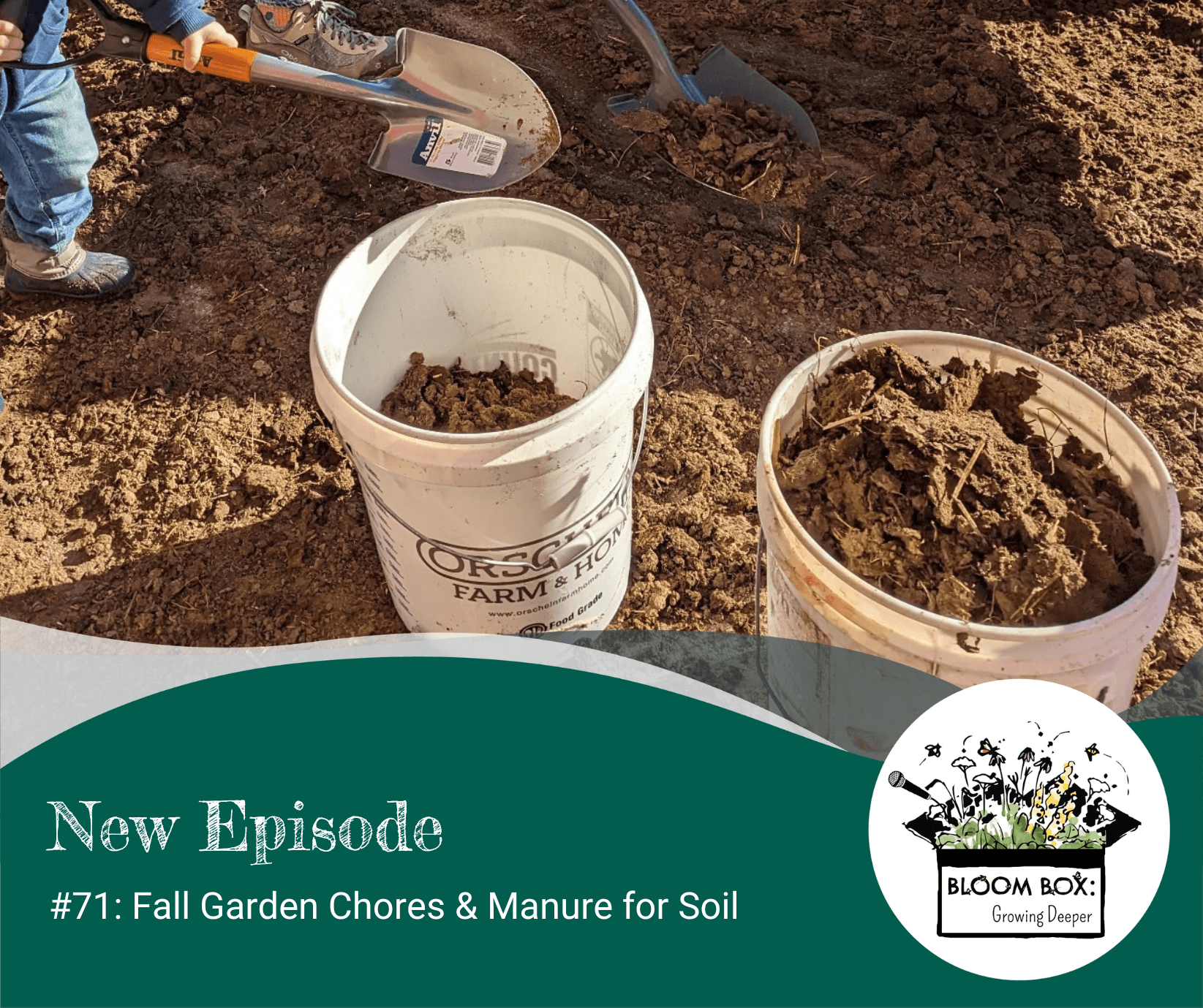 72: Fall Garden Chores & Manure for Soil