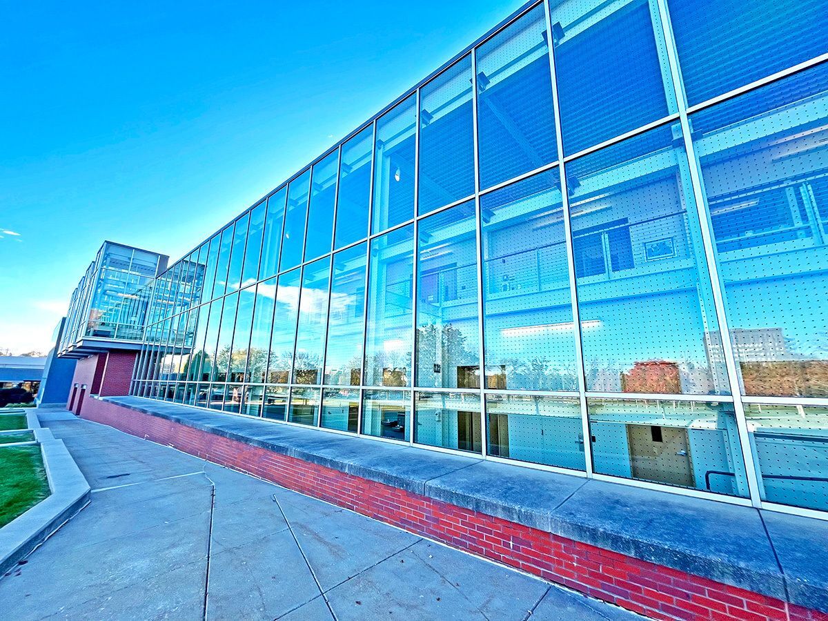 Preventing birds from colliding with windows