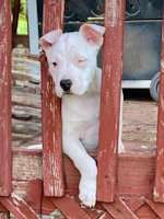 Oona