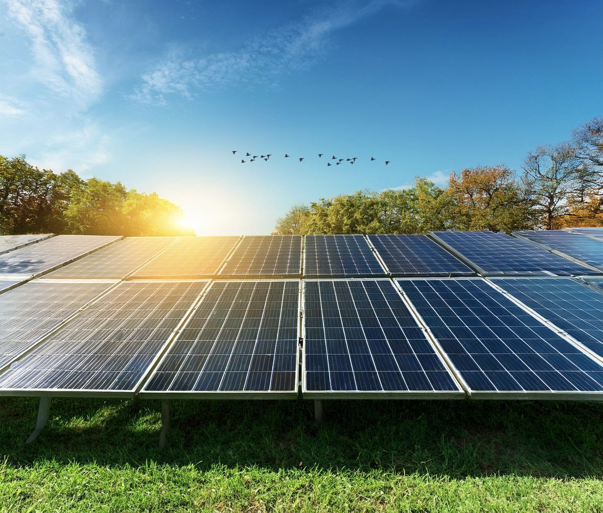 Solar Panels with sun and birds flying overhead