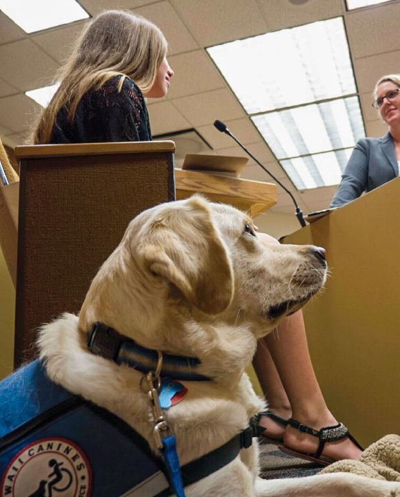 can a service dog be protection trained case law