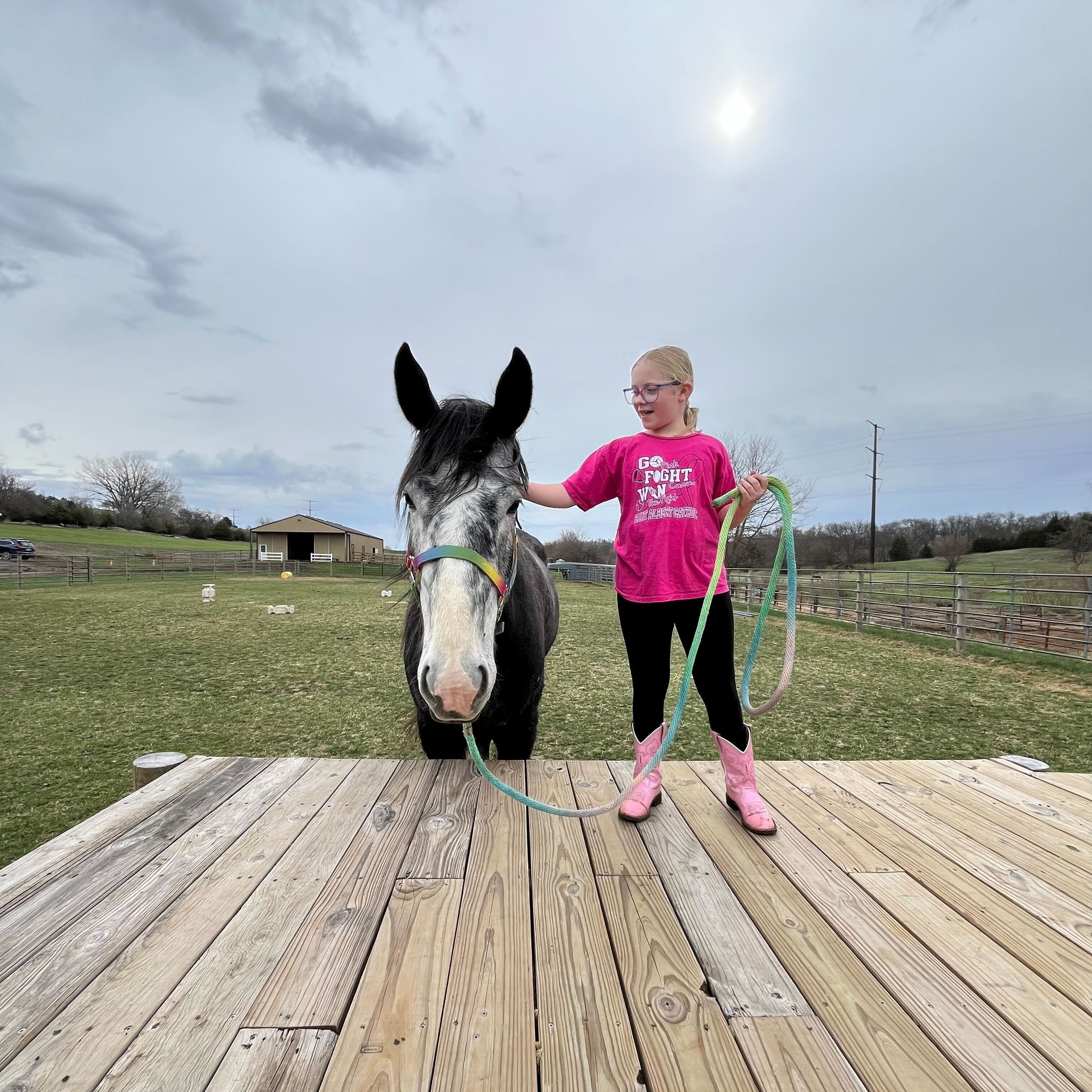 Traditional Riding Lessons